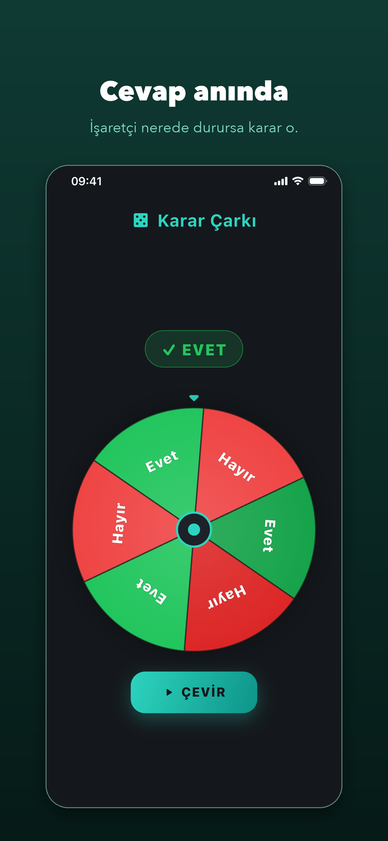 Karar Çarkı - Çevir Karar Ver screenshot 2