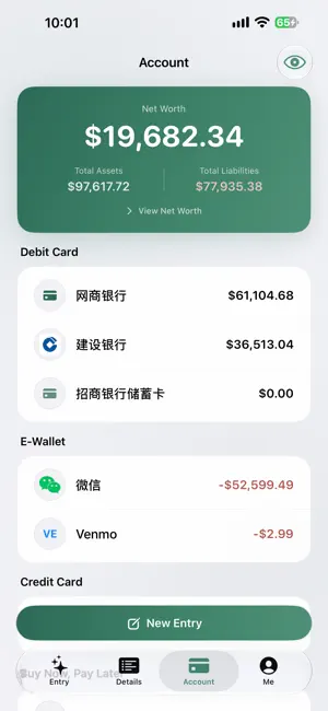 Accounova screenshot 2