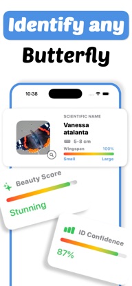 Butterfly Identifier - Paply screenshot 2