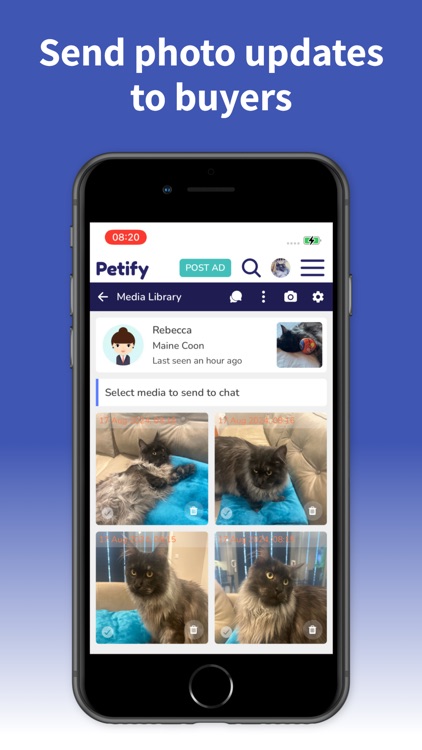 Petify Dogs & Cats screenshot-4