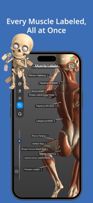 Art Anatomy screenshot 4