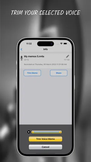 Voice Recorder : Audio Memos screenshot 4