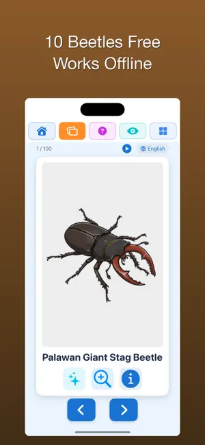 100 Beetles: Kabutomushi Kids screenshot 2