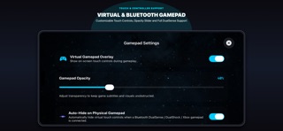 PlayLingo: Remote Play screenshot 8