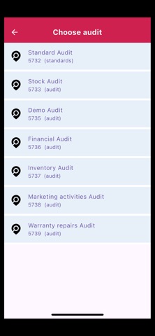 Smart Audyt screenshot