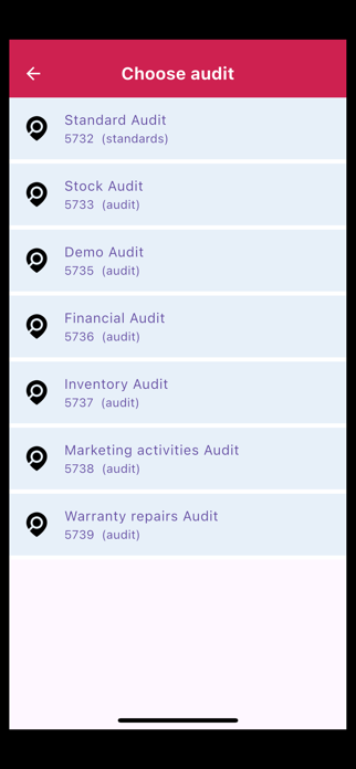Smart Audyt Screenshot 4 of 10