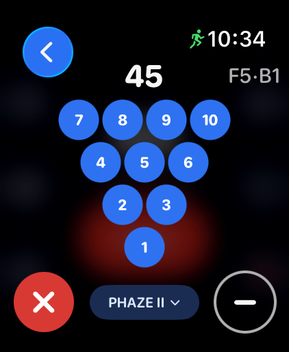 Lane Caddie screenshot 11