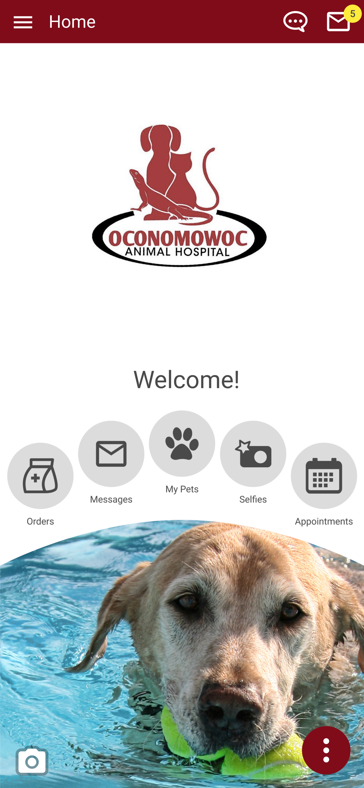 Oconomowoc Animal Hospital screenshot 2