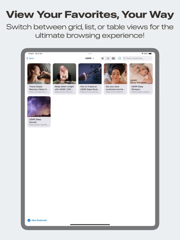 Bookmarks Safe iPad screenshot