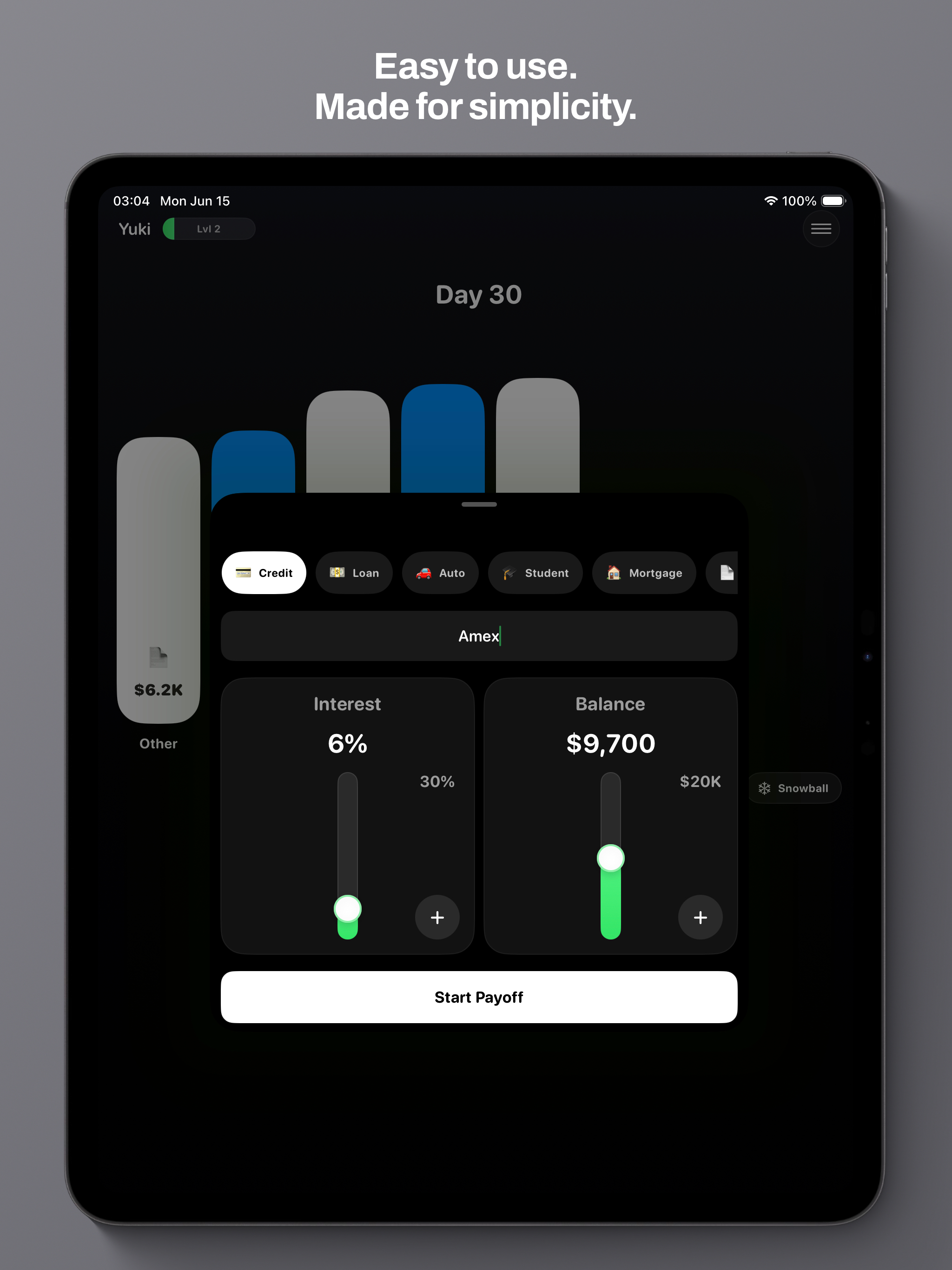Payoff GO: Debt Payoff screenshot 4