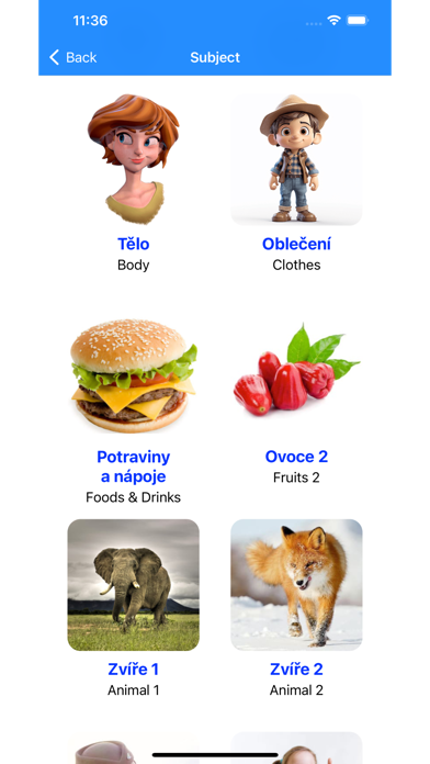 Learn Czech Vocabulary Screenshot