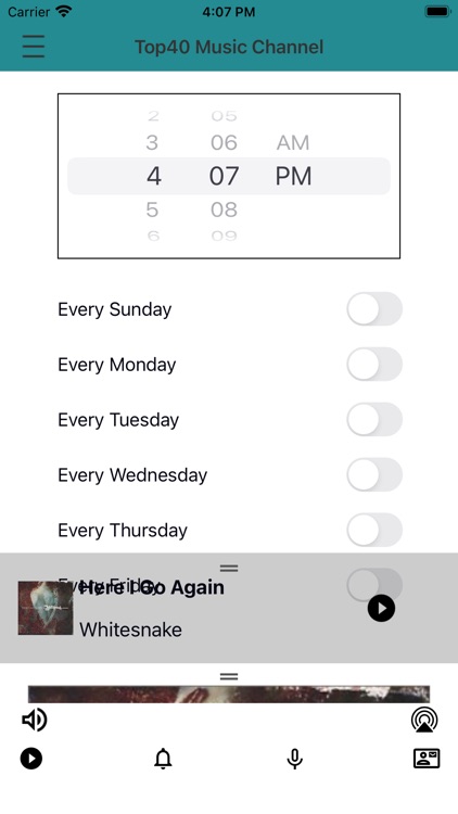 Top 40 Radio Music Channel screenshot-4