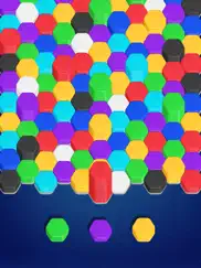 royal hexa puzzle ipad images 2