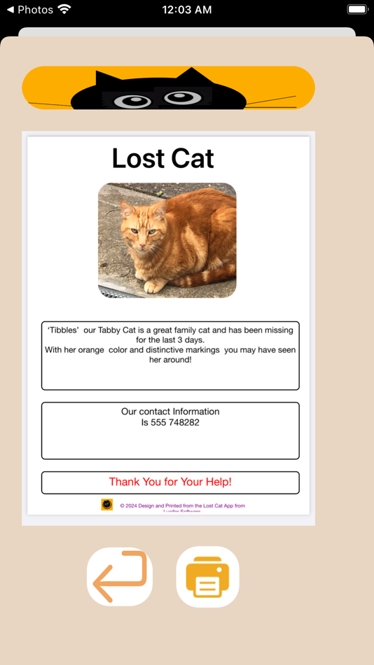 #2. Lost Cat App (iOS) 由: Feargal Tobin