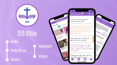 Simple English Bible (SEB) Screenshot