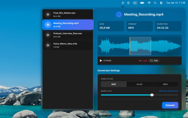 Simple Audio Converter app screenshot