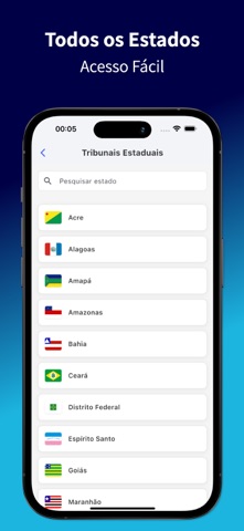 Consulta Processos screenshot