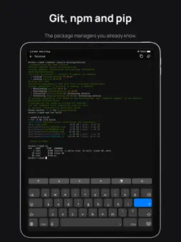 DevBox: Code & Run screenshot 10