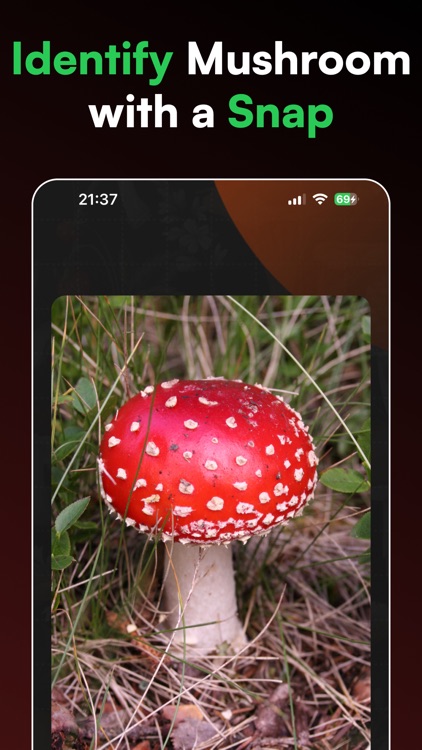Mushroom Identifier ° Fungi ID