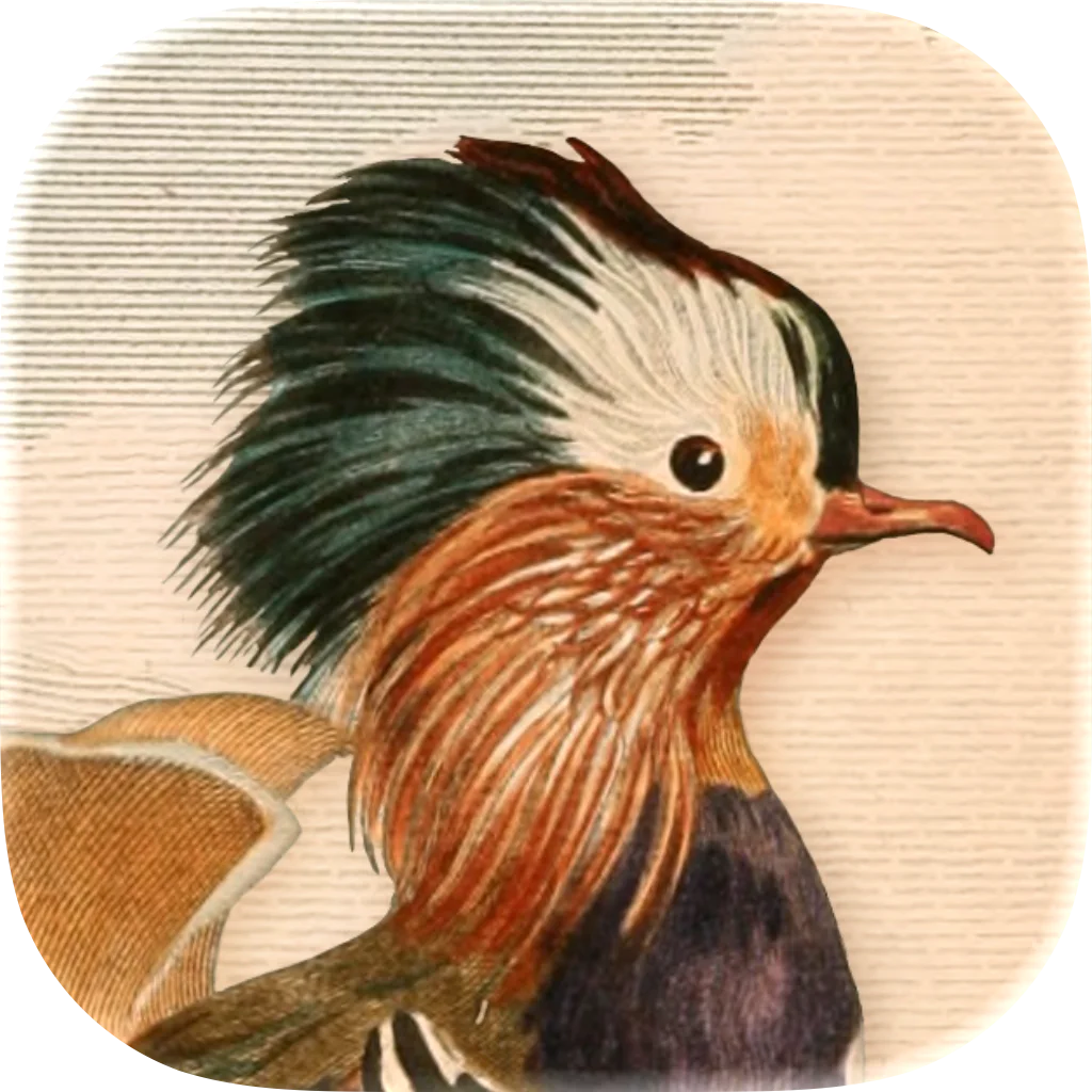 Art of Fauna: Cozy Puzzles