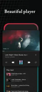 Video Mate: Music,Browser screenshot #2 for iPhone