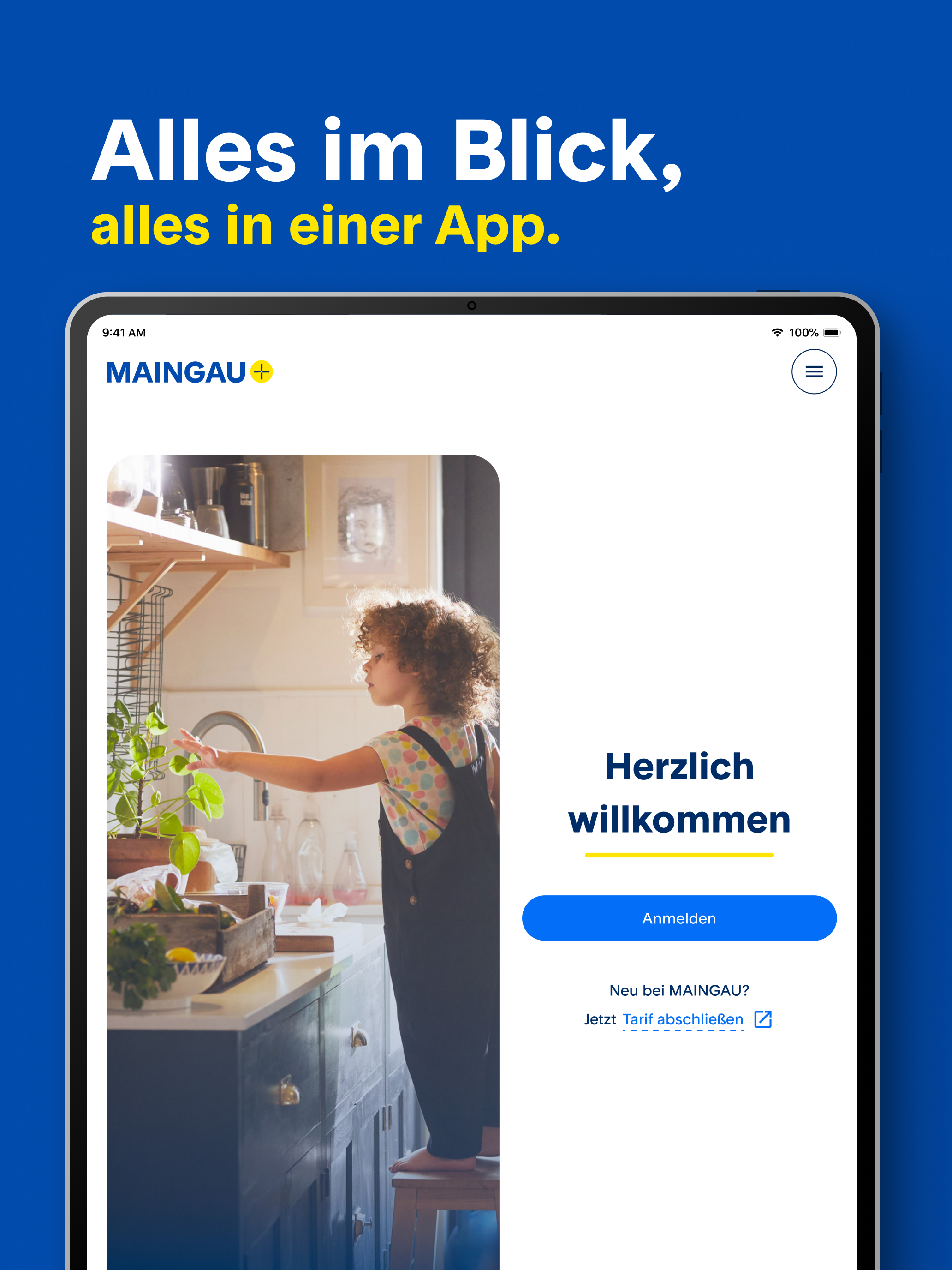 MAINGAU: Strom & Gas verwalten screenshot 18