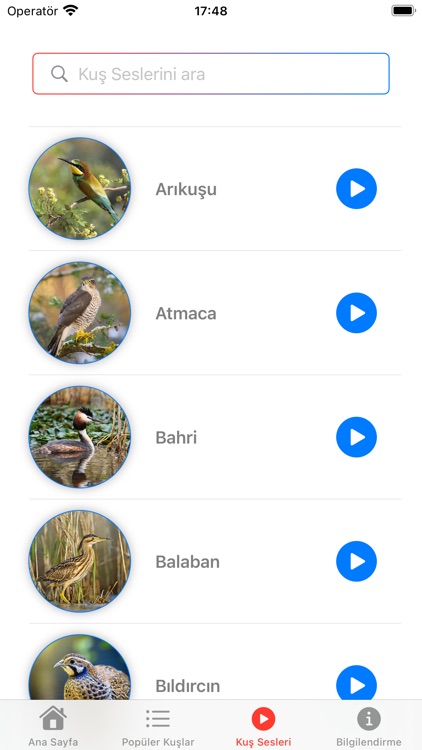 Türkiye Kuşları screenshot-3