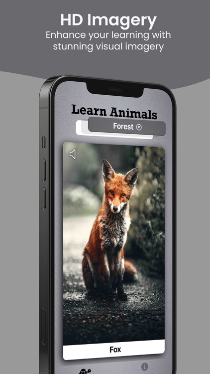 Learn Animals - Name Sounds