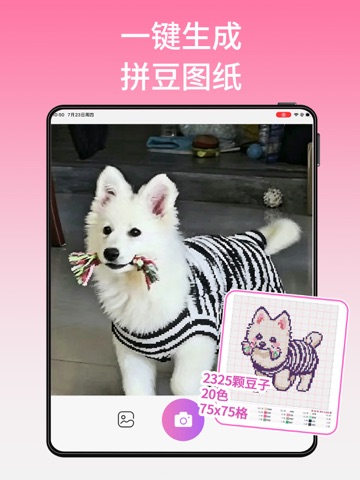 拼豆助手-拼豆图纸生成器 iPad screenshot 3