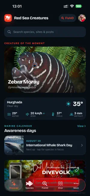 Red Sea Creatures screenshot 1