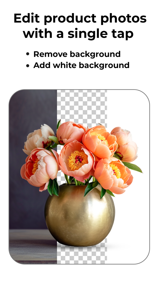 #3. DoMyShoot Product Photo Studio (iOS) 由: Dresma Inc