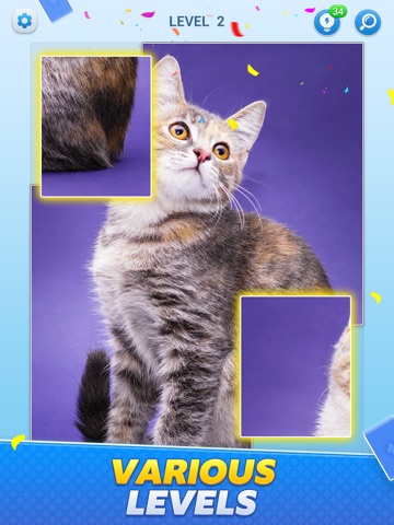 Jigblock Solitaire iPad screenshot