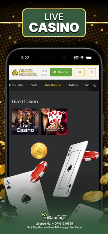 Grand Mondial Casino Ontario screenshot 5