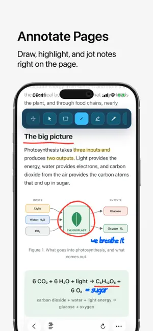 PageScribble for Safari screenshot 1