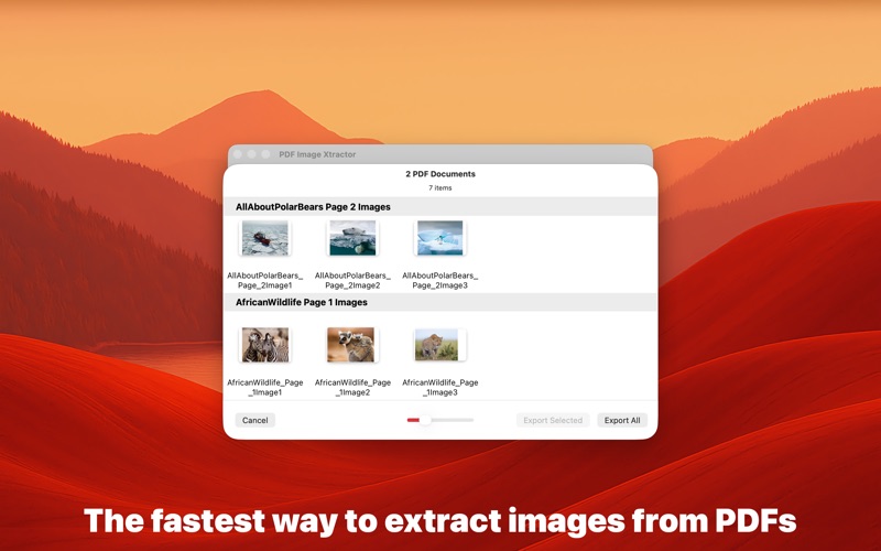 PDF Image Xtractor screenshot