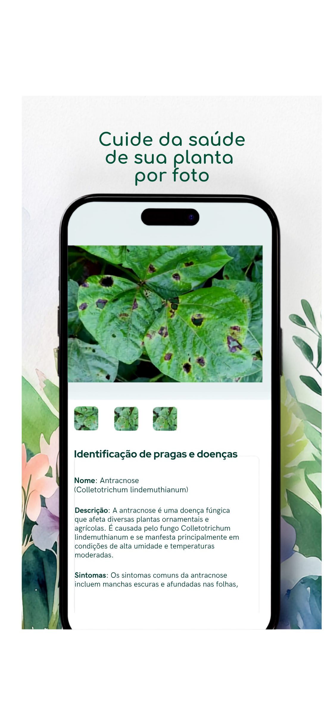 Picplants screenshot 3
