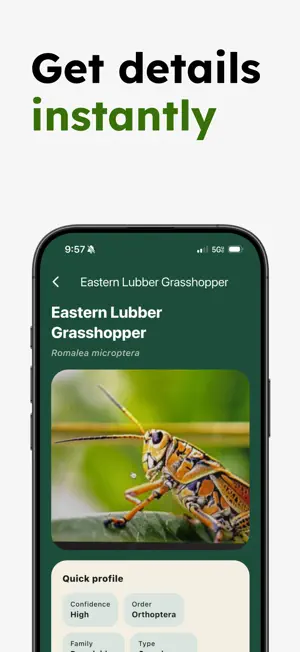Insect Identifier - Insectr screenshot 3