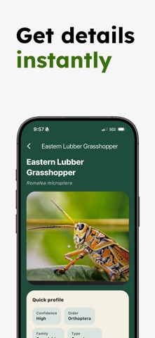 Insect Identifier - Insectr Screenshot 3 of 5