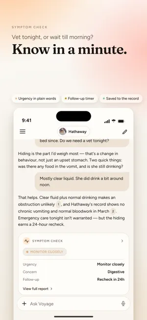 Voyage: AI Vet for Dogs & Cats screenshot 2
