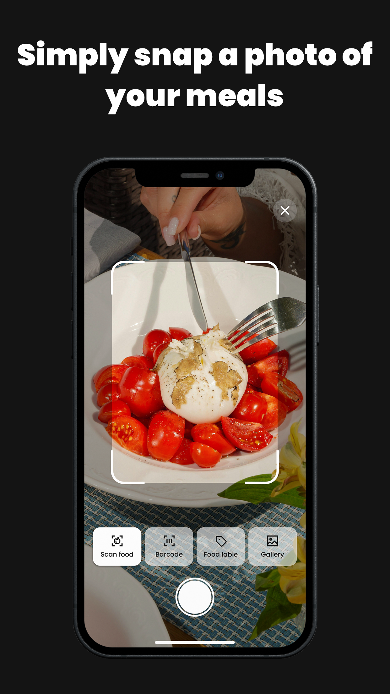 CalDiet-AI Calorie Counter screenshot 3
