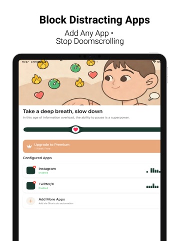 Focus Pause: Screen Time iPad screenshot