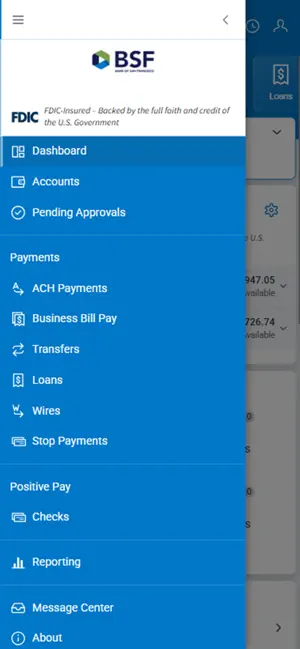 BSF Treasury Management screenshot 2