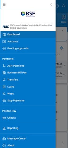 BSF Treasury Management Screenshot 2 of 3