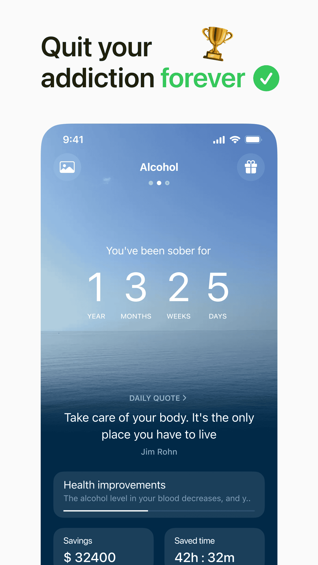 Clean Day — Sobriety Counter