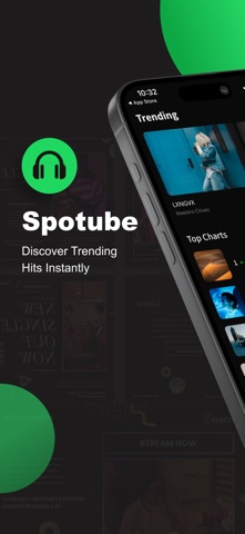 Spotube – 离线音乐播放器 : Offline screenshot