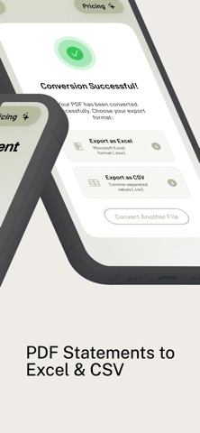 Bank Statement - PDF to XLS iPhone screenshot