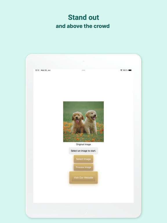 Screenshot #5 pour background img remove INGOAMPT