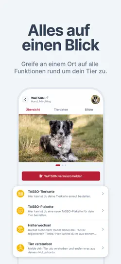 Screenshot von MeinTASSO auf dem iPhone 5