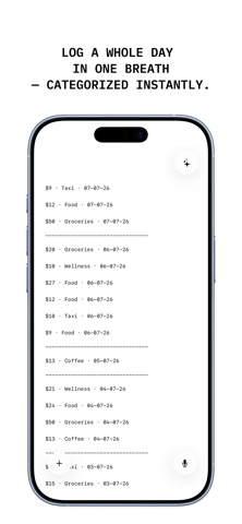 Bufft: Voice Expense Tracker screenshot