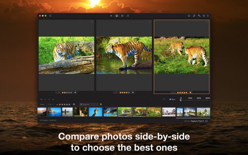 #4. Photo Sense: Editor & Manager (macOS) Podle: VeprIT